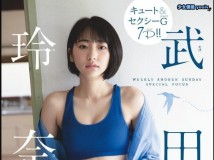 Weekly Shonen Sunday 2019 No.50 武田玲奈 Weekly Shonen Magazine 2019 No.50 菅井友香