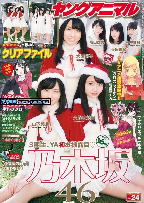 Young Animal 2016 No.24 乃木坂46